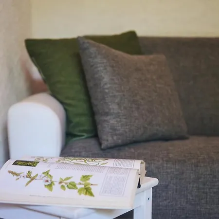 Holiday home La Casetta Nel Bosco - Hot Tube, Sauna, Ac And Free Park Lierna